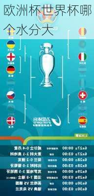 欧洲杯世界杯哪个水分大