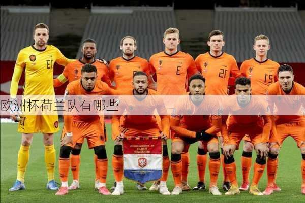 欧洲杯荷兰队有哪些