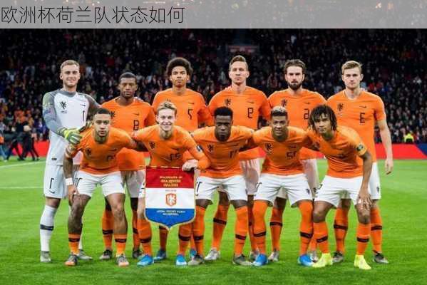欧洲杯荷兰队状态如何