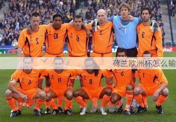 荷兰欧洲杯怎么输