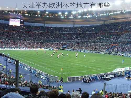 天津举办欧洲杯的地方有哪些-第1张图片-秘石体育网
