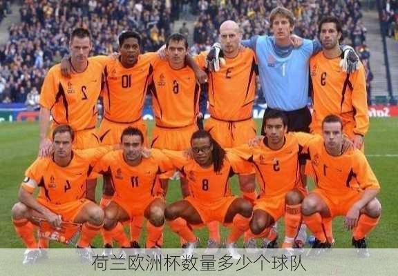 荷兰欧洲杯数量多少个球队-第1张图片-秘石体育网