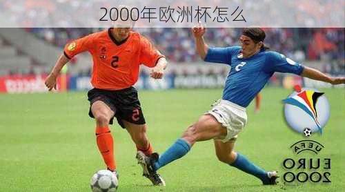 2000年欧洲杯怎么-第2张图片-秘石体育网