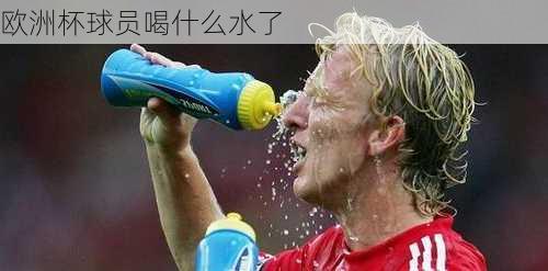 欧洲杯球员喝什么水了
