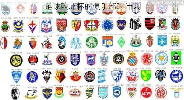 足球欧洲杯的俱乐部叫什么