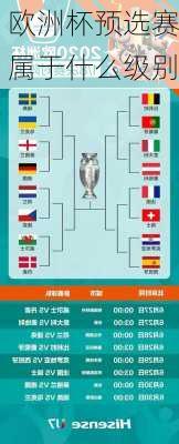 欧洲杯预选赛属于什么级别