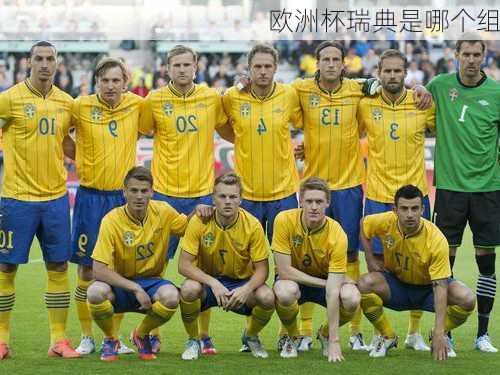 欧洲杯瑞典是哪个组